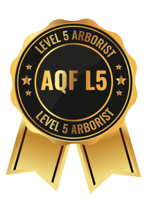 AQF L5 Badge
