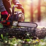 Tree Clearing Service Gold Coast