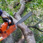 Crown Reduction Gold Coast