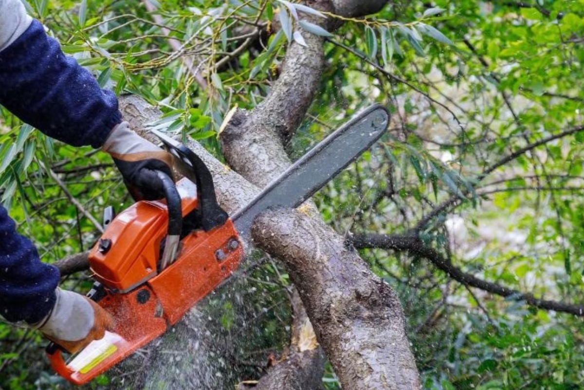 Crown Reduction Gold Coast