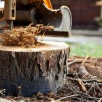 Professional Stump Grinding Service by Tree Essence in Gold Coast