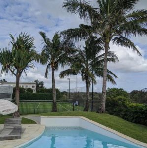 Tree Services Kingscliff 1
